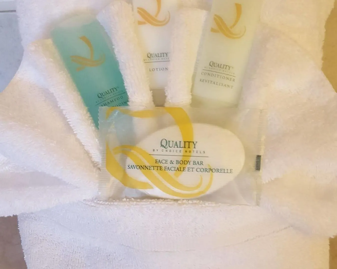 Quality Inn & Suites Niagara Falls Canada